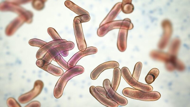 L’eau potable est l’arme de destruction massive du choléra