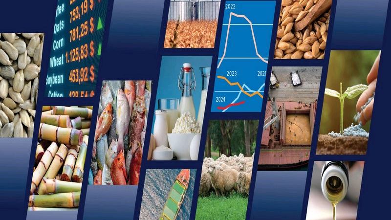 Vers une stabilisation de la plupart des marchés de produits alimentaires en 2024-2025