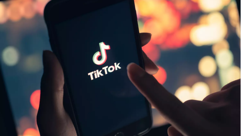 Après Twitter, TikTok aux mains d’Elon Musk ?
