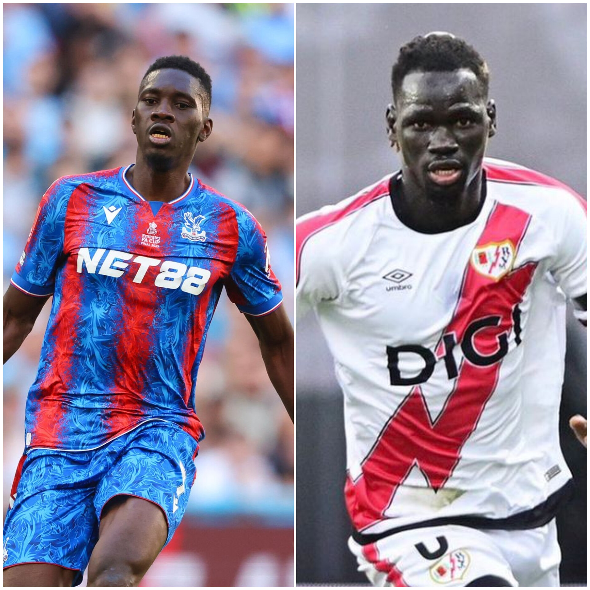 Lions d’Europe : Pathe Ciss, Mendy et Sarr à l’assaut d’un sacre continental